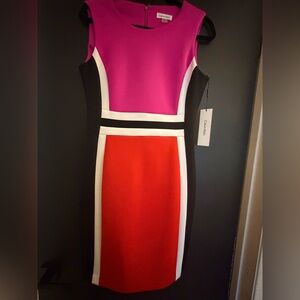 Calvin Klein Women's Color Block Sheath Dress